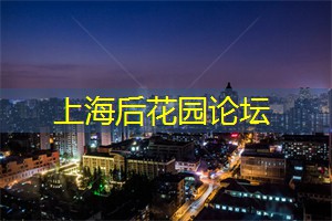 上海论坛:汇聚全球思想,引爆城市发展的火花! 上海论坛:汇聚全球思想,引爆城市发展的火花!